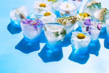 Donmuş çiçekli buz küpleri ve parlak mavi arka planda yapraklar.