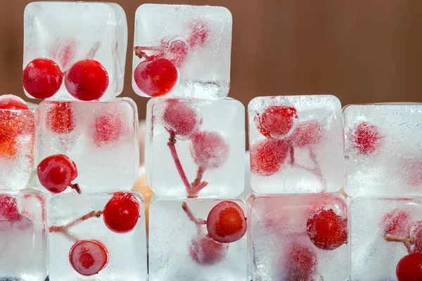 Wall Ice Cubes Red Frozen Berries Close Beautiful Composition Edible — Stock Photo, Image