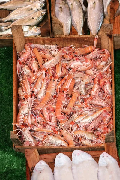 Čerstvě Ulovené Lagustins Dřevěné Krabičce Bazar Istanbul — Stock fotografie