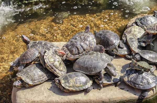 Sahilde yeterli yer olmadığında