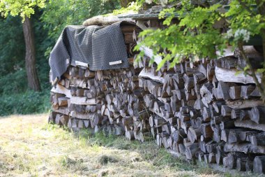Ormanın kenarında woodpile