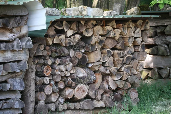 Woodpile Edge Forest — Stock Photo, Image