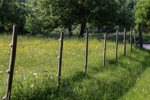 Electric fence in the field