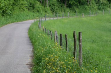 Elektrikli çit alanında