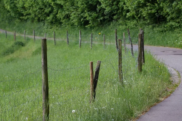 Elektrikli çit alanında