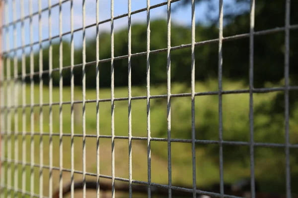 Closeup Grey Mesh Fence — Stock Photo, Image