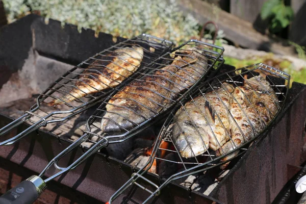 魚のグリル グリルで魚があると焼き グリルで生の淡水魚 伝統的なスタイルで調理 コンロのグリルで塩漬けの魚の料理 — ストック写真