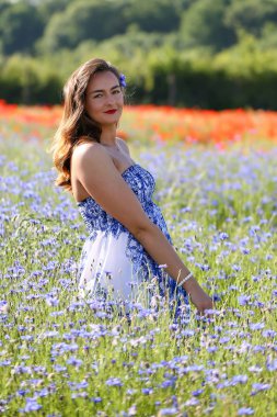 Peygamber / kız peygamberçiçeği mavi