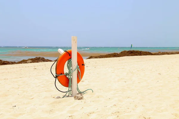 Záchranná Bóje Pláži — Stock fotografie