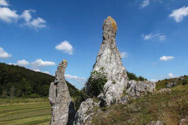 Doğa rezerv - Eselsburger Tal Vadisi / Kurtlar Vadisi Eselsburger Tal, Brenztal, Herbrechtingen, yakındaki bir parçası ilçe Heidenheim, Baden-Württemberg, Almanya 