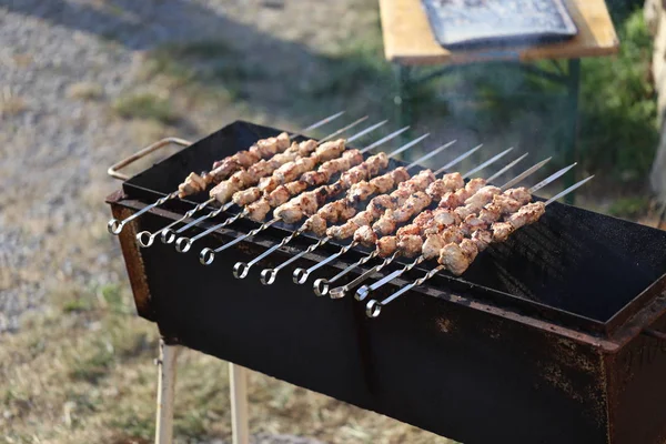 Shish Kebab Stekt Grillen — Stockfoto