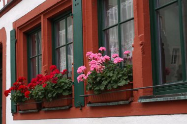 Pencere pervazında çiçekler