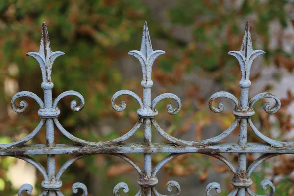 Metalen Hek Metal Krullend Hek Het Park — Stockfoto