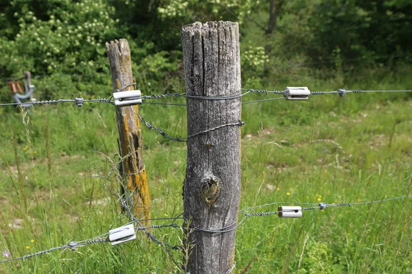 Electric fence in the field