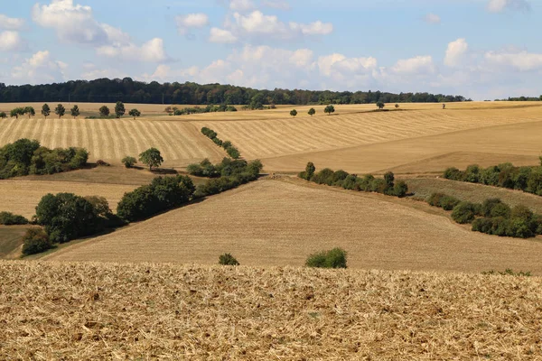 Das Ist Das Ende Des Sommer Geernteten Weizenfeldes — Stockfoto