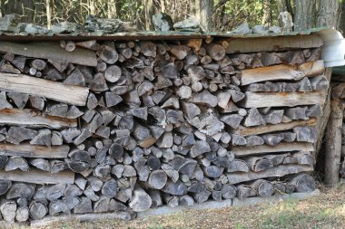 Ormanın kenarında woodpile