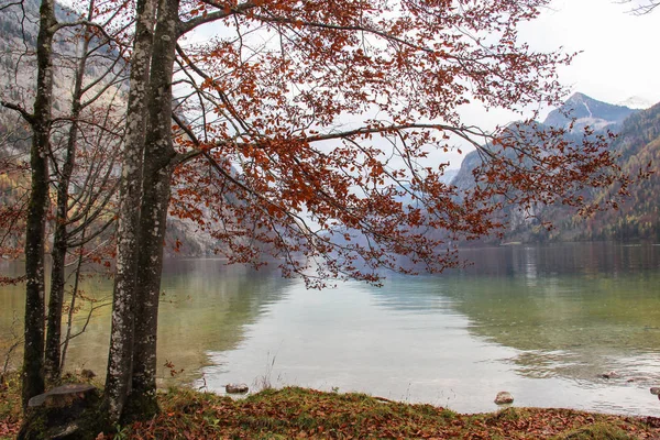 Automne Sur Koenigsee Allemagne — Photo