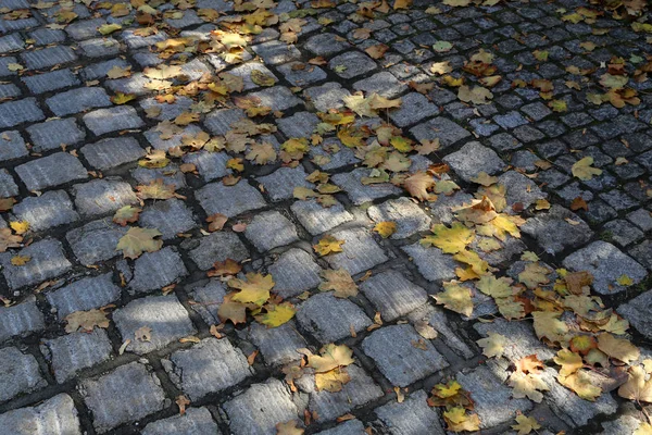 Stad Oude Geplaveide Oppervlak Van Weg — Stockfoto