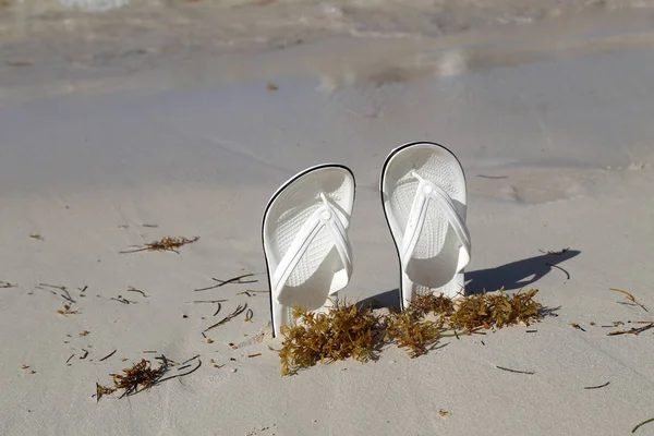 Sandalias Blancas Playa — Foto de Stock