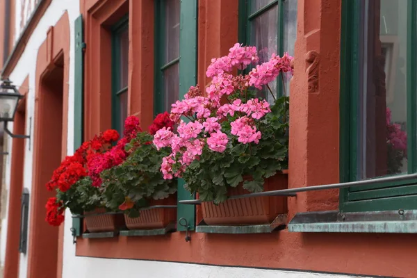 美しいバルコニーの花 Windows の家の美しいバルコニーの花 — ストック写真