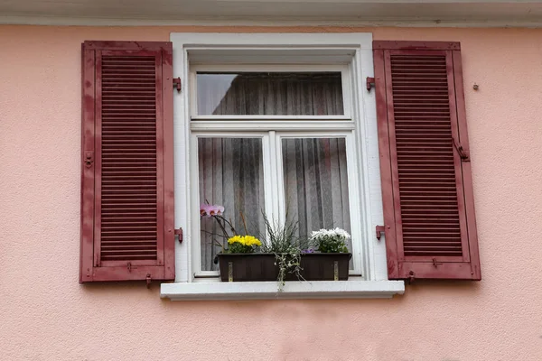 Ablakok Redőnyök Virágok Ablakpárkányon — Stock Fotó