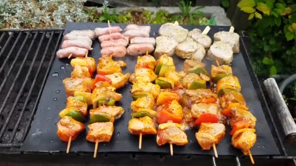 Vlees en groenten, gebakken op een open brand — Stockvideo