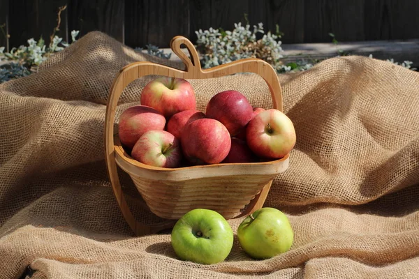 Jesień Martwa Natura Piękne Dojrzałe Jabłka — Zdjęcie stockowe