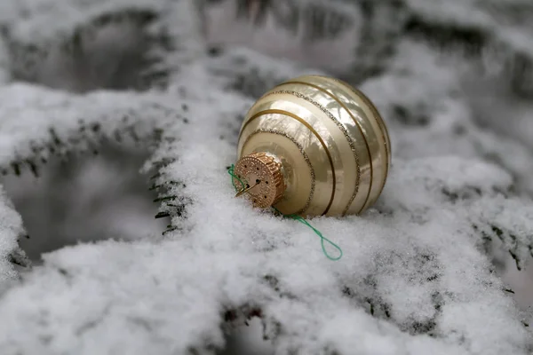 Compositions Christmas Tree Toy Winter Forest — Stock Photo, Image