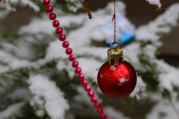 冬の森のクリスマス ツリーの装飾の組成 — ストック写真