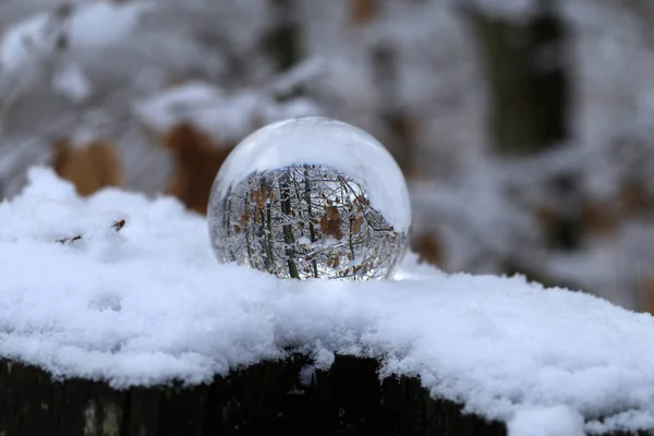 Χειμώνας Δάσος Μέσα Από Μια Διαφανή Γυάλινη Μπάλα — Φωτογραφία Αρχείου