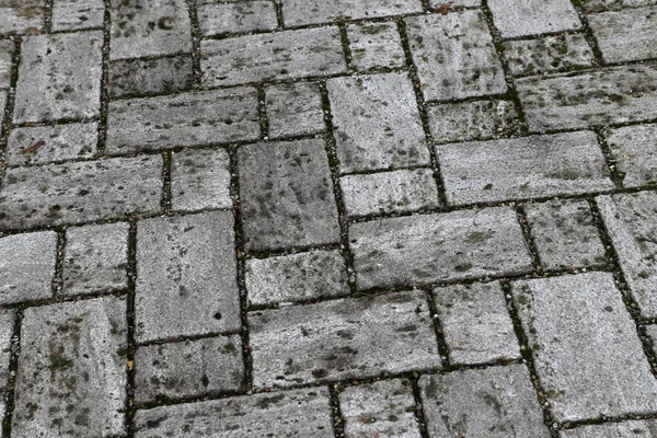 歩道舗装 ストリート道路地面に単調な灰色のレンガ石の分析観点ビュー — ストック写真
