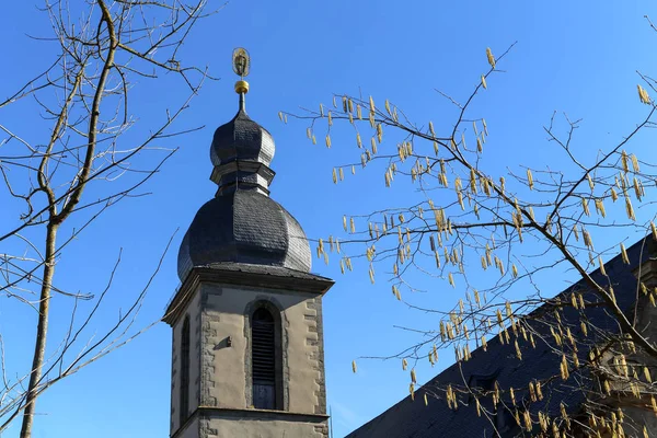 Pendientes florecieron en un árbol. Iglesia en el fondo . — Foto de Stock