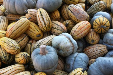 Kabaklar arka plan tam çerçeve görüntü 