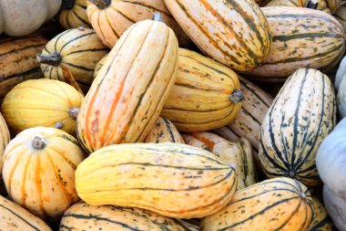 Kabaklar arka plan tam çerçeve görüntü 