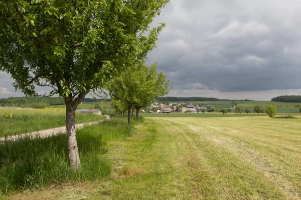 Dorf Ruhiger Ländlicher Landschaft — Stockfoto