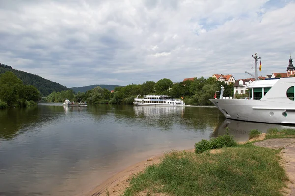 Bateaux Amarrés Sur Lac Près Des Arbres — Photo