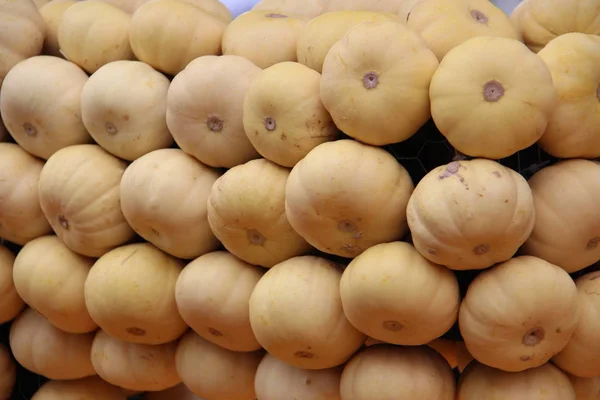 Pile Pumpkins Background — Stock Photo, Image