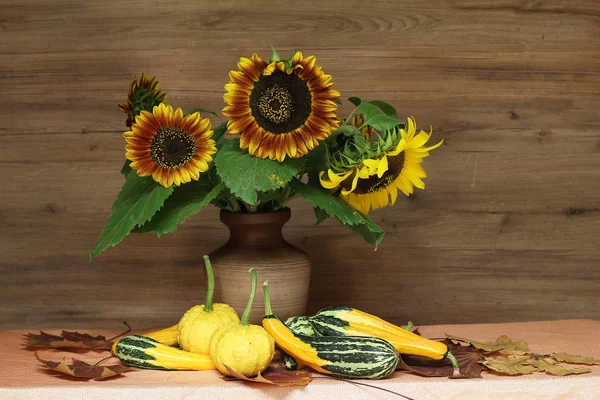 Landwirtschaft Sonnenblumen Wertvolle Ölsaaten Schöne Blumen — Stockfoto