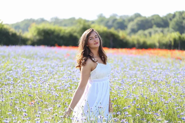 Retrato de uma jovem no campo azul cornflower — Fotografia de Stock