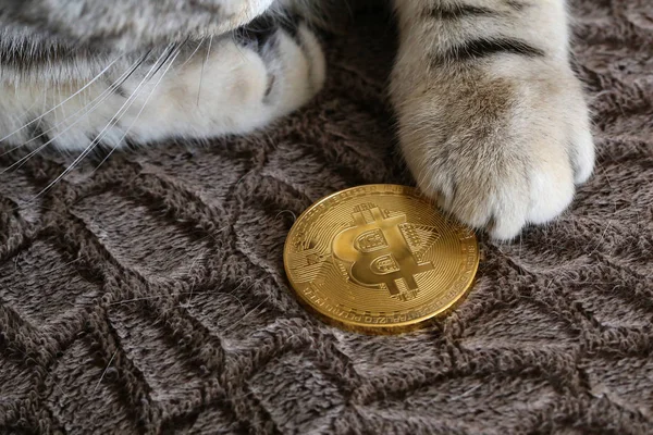 Bitcoin. Physical bit coin. Digital currency. Cryptocurrency.