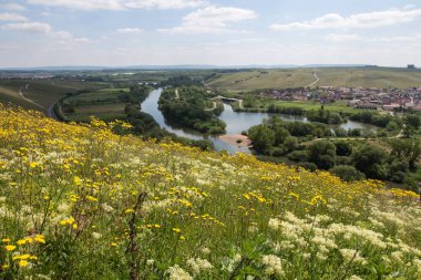 Kırsal peyzaj yoluyla akan nehir ile havadan görünüm 