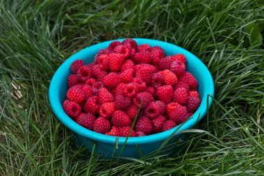 Plastik konteyner olgun lezzetli ahududu dolu 