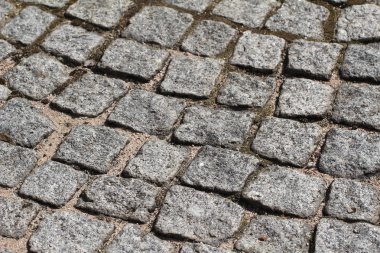 Şehir. Eski Arnavut kaldırımlı yol yüzeyi.