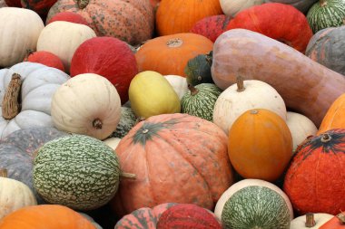 Kabaklar arka plan tam çerçeve görüntü 