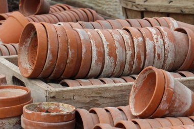 Serada eski saksılar