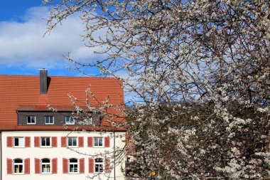 Creglingen / Şehir parçaları bahar