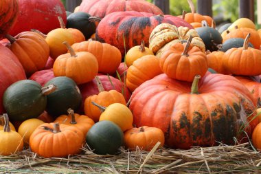 kabak arkaplanı yığını 