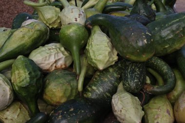 Yeşil kabir arka plan, yakın