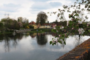 Göllü kentsel peyzaj / Dinkelsbhl (Almanya)