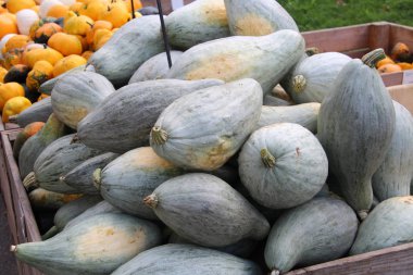 kabak arkaplanı yığını 